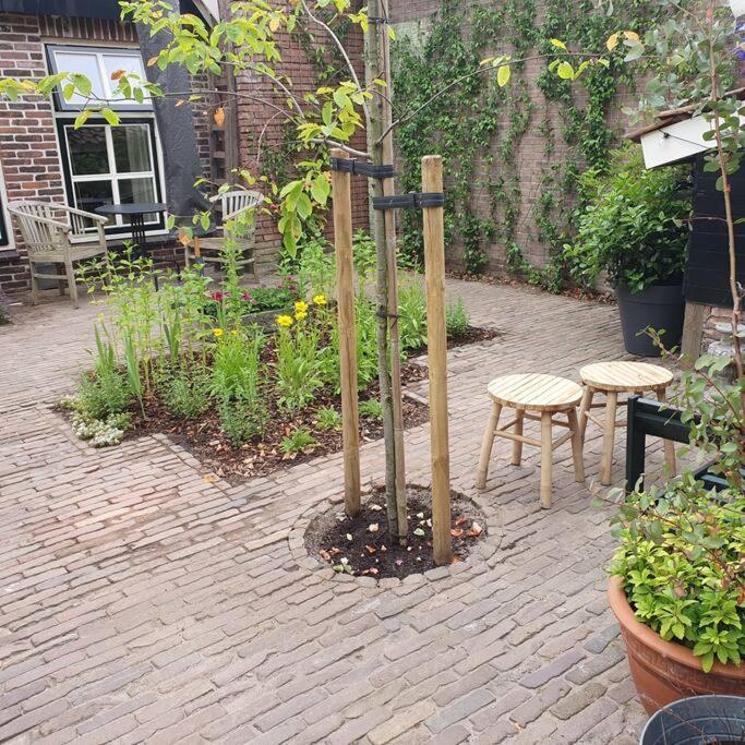 Citycottage Alkmaar Kültér fotó